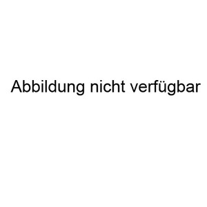 Heym Aufkippmontage für SR21/30